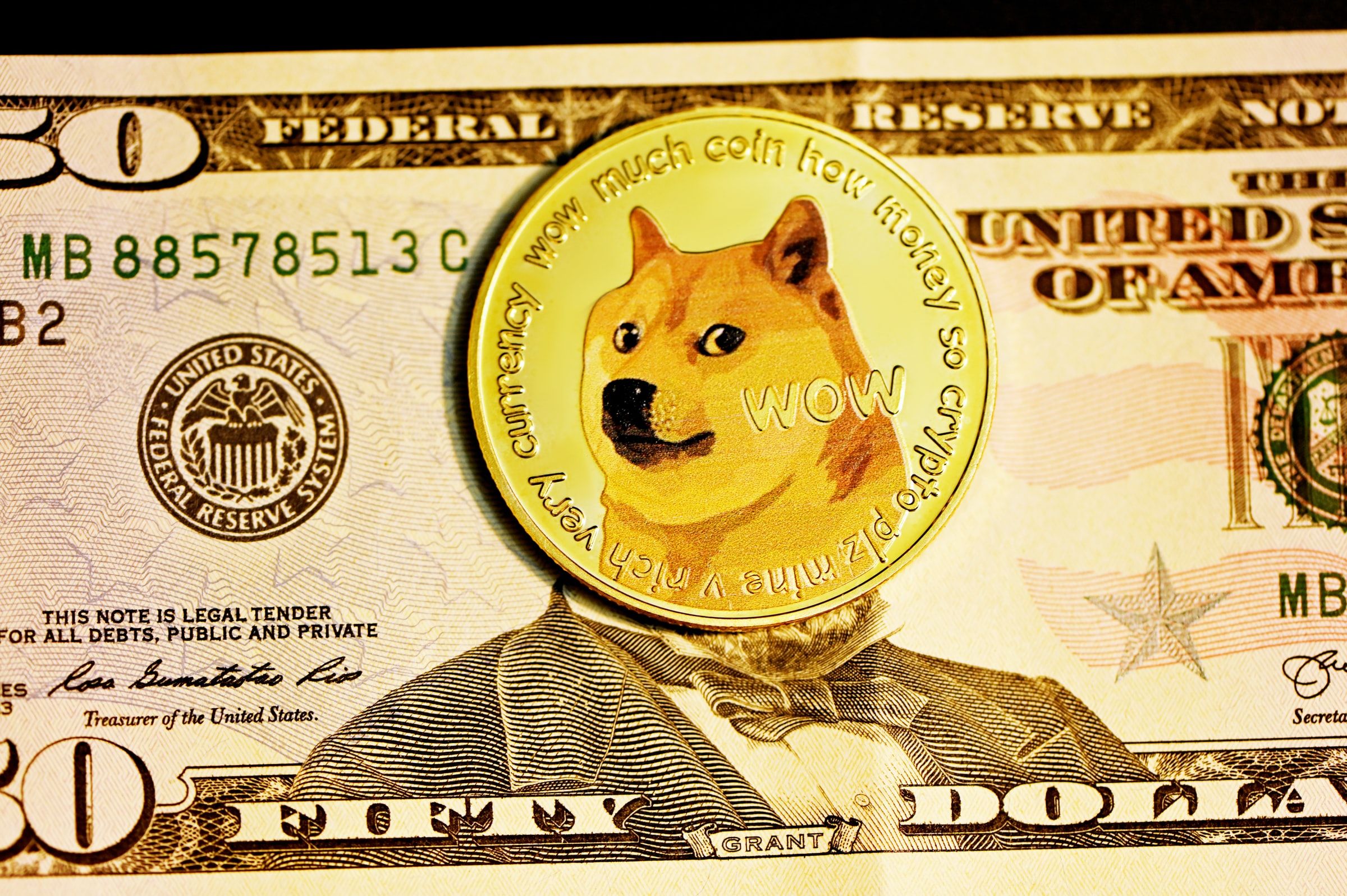 Gold Dogecoin on a fifty dollar bill