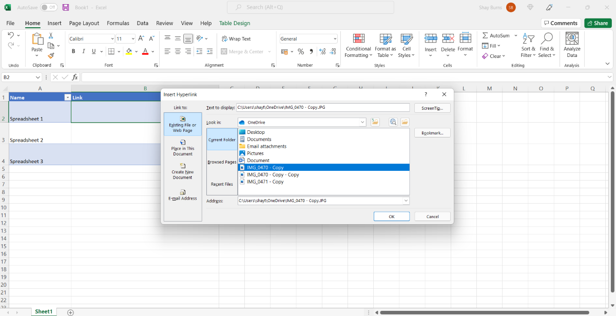 Screenshot of Hyperlink Window in Microsoft Excel