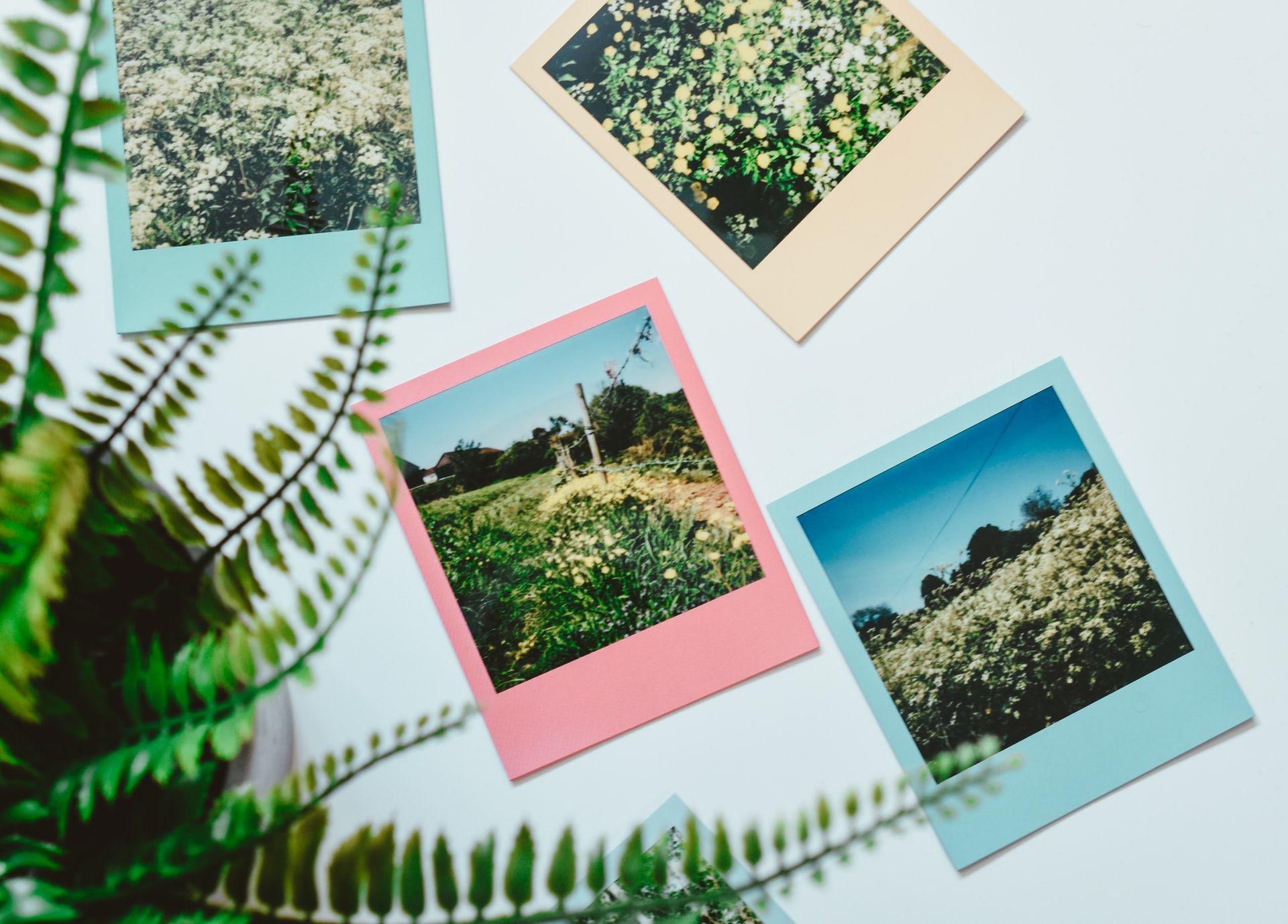 instant camera film with colored blue pink and yellow borders