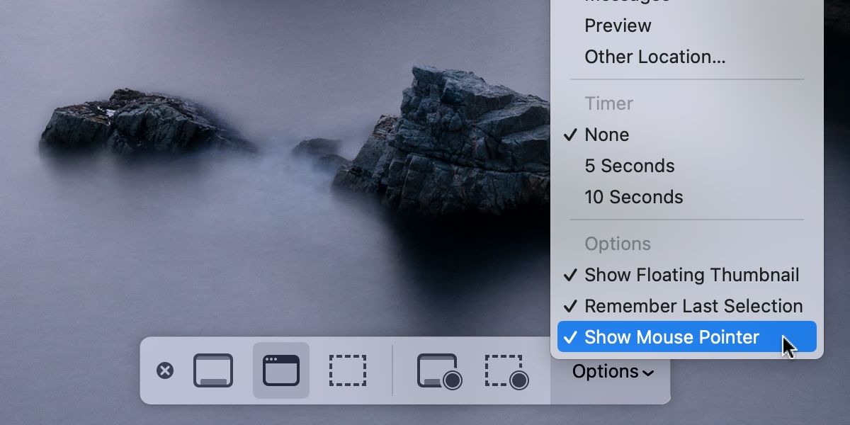 macOS screenshot options menu with Show Mouse Pointer highlighted.