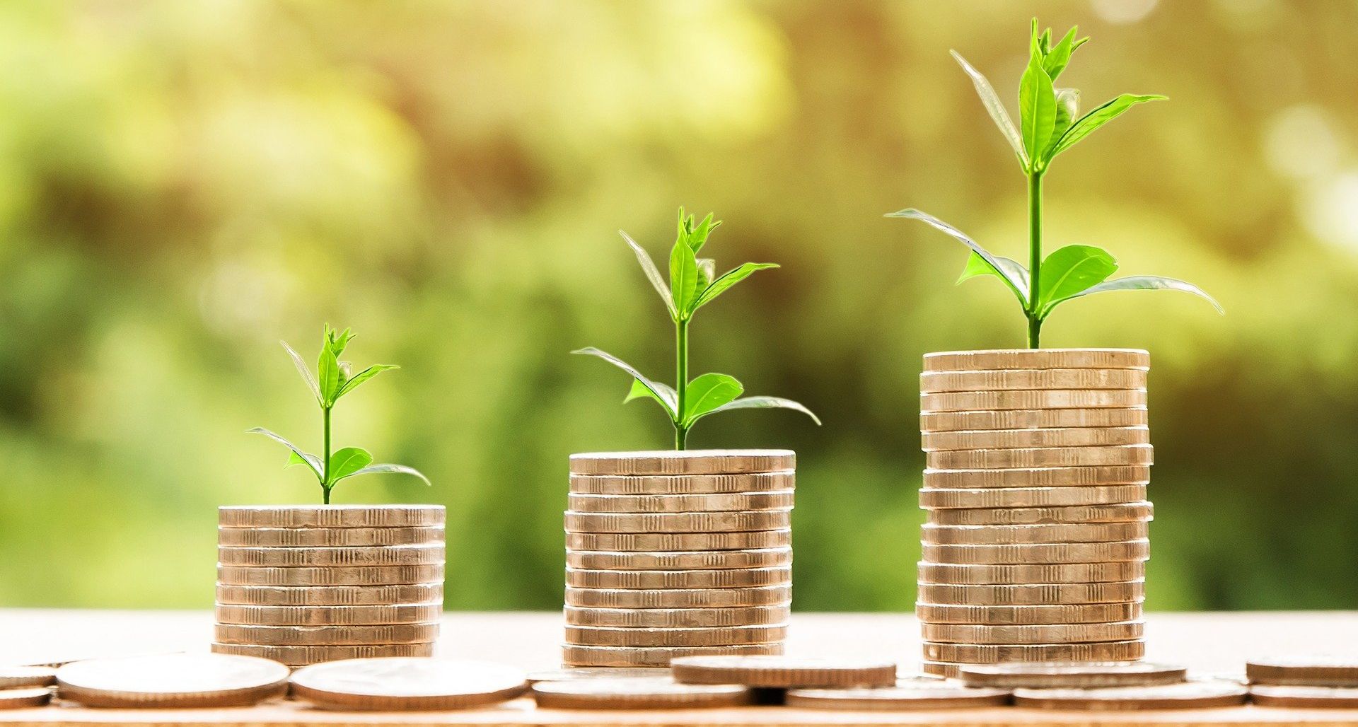 plants growing on coins