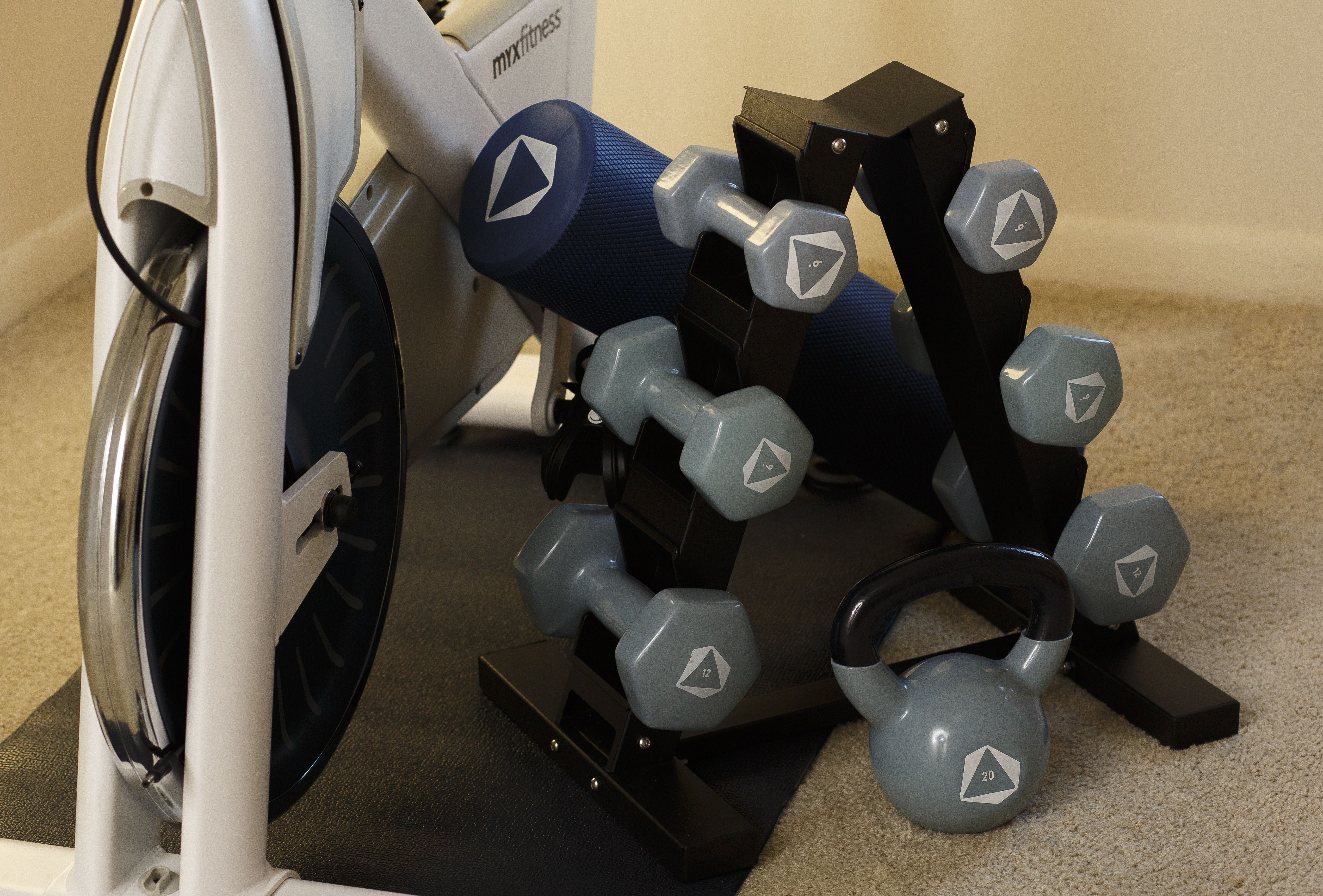 The included set of dumbbells.