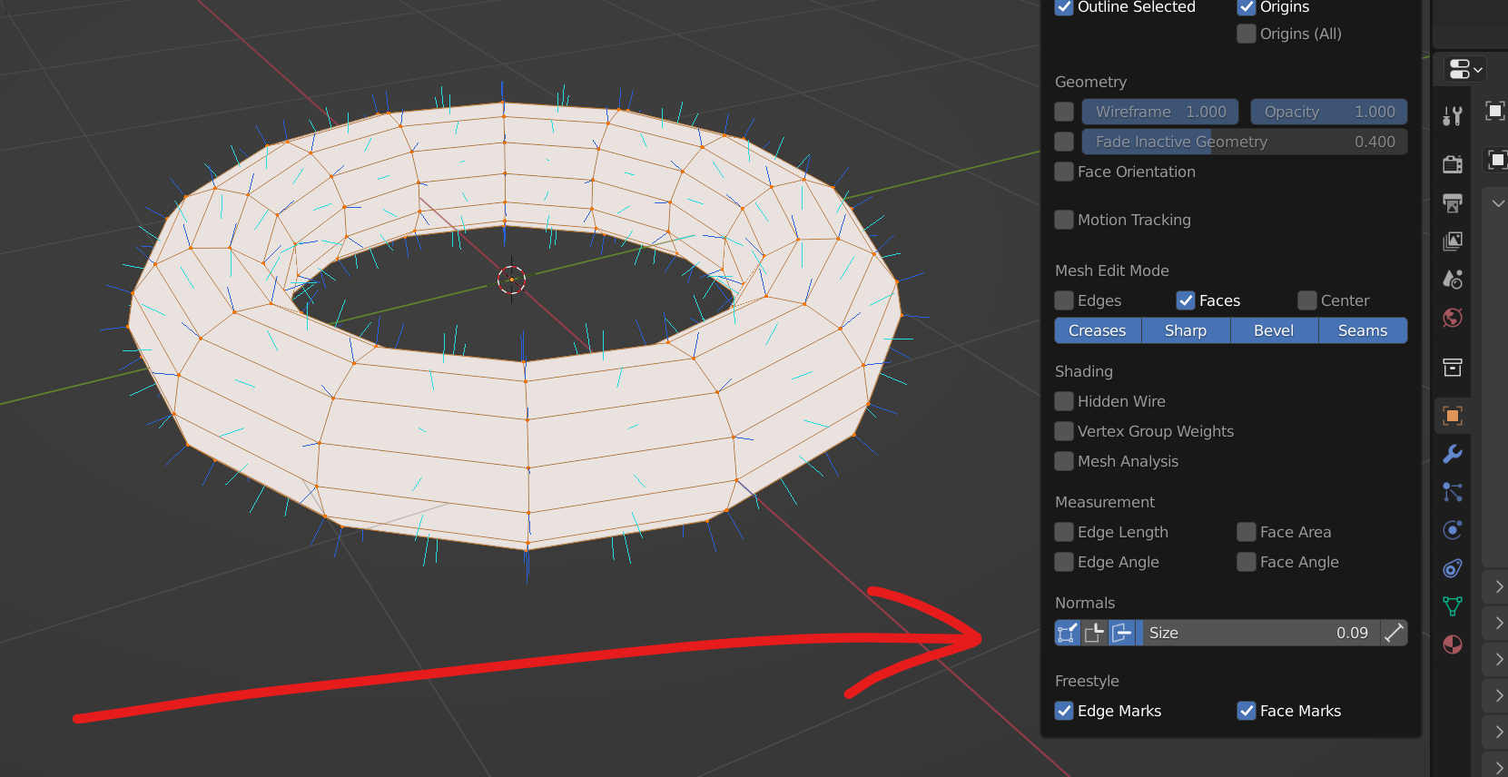 The normals display option in Blender.