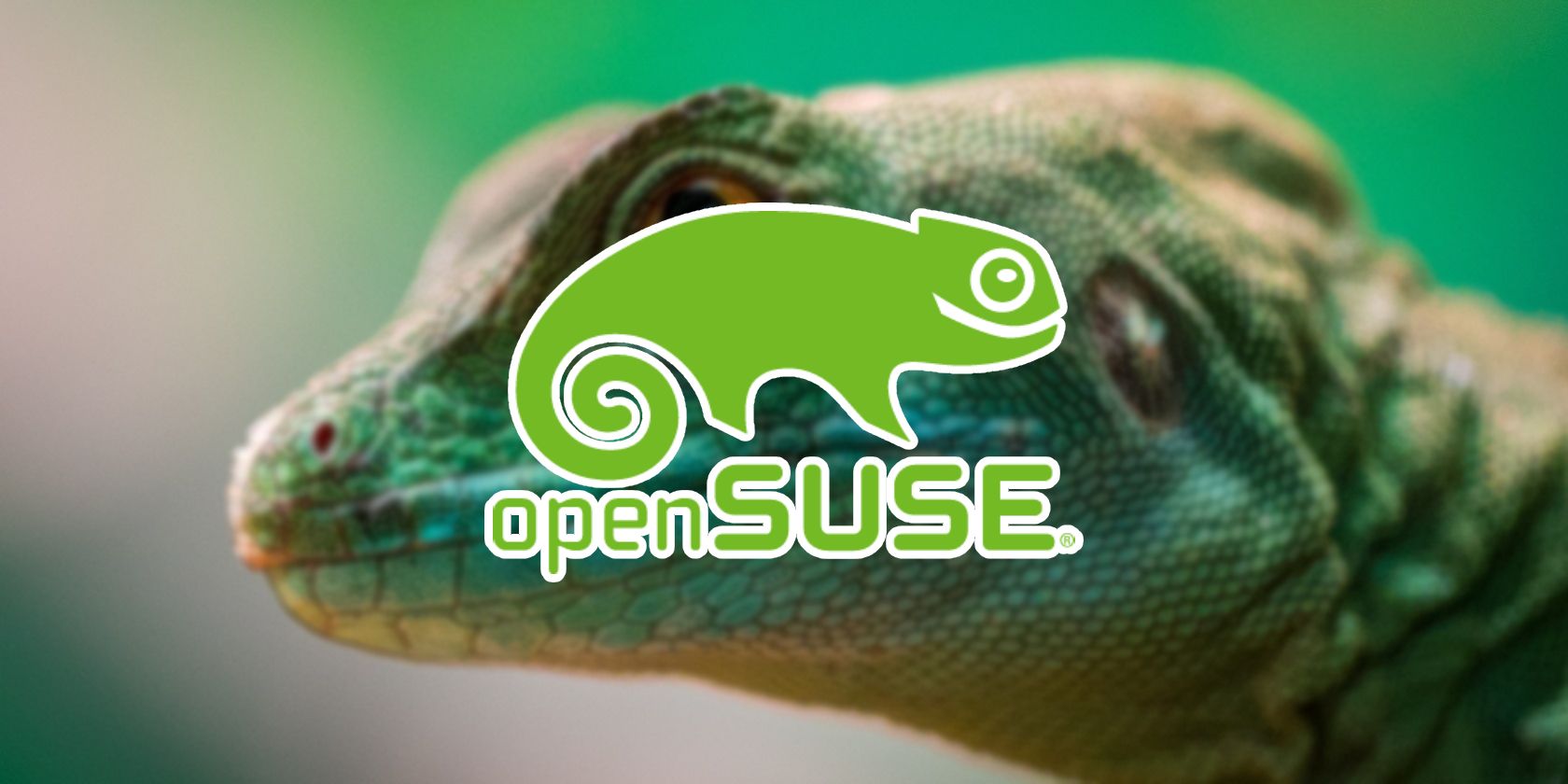 opensuse logo on a background