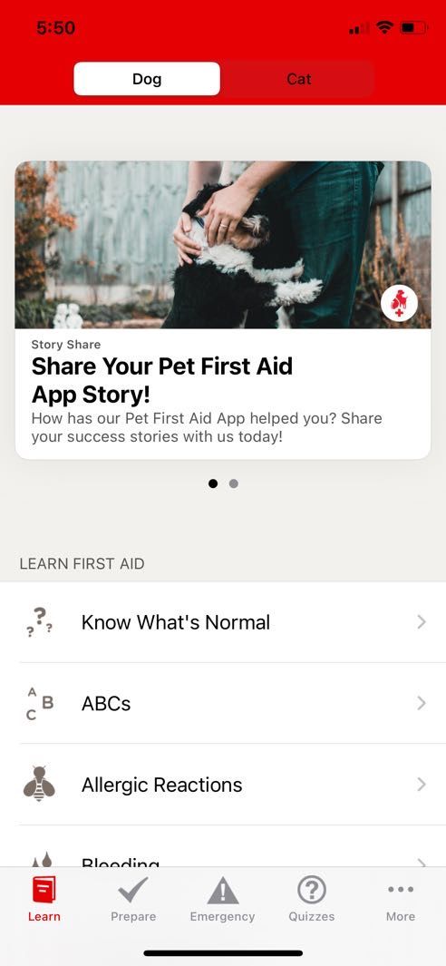pet first aid home