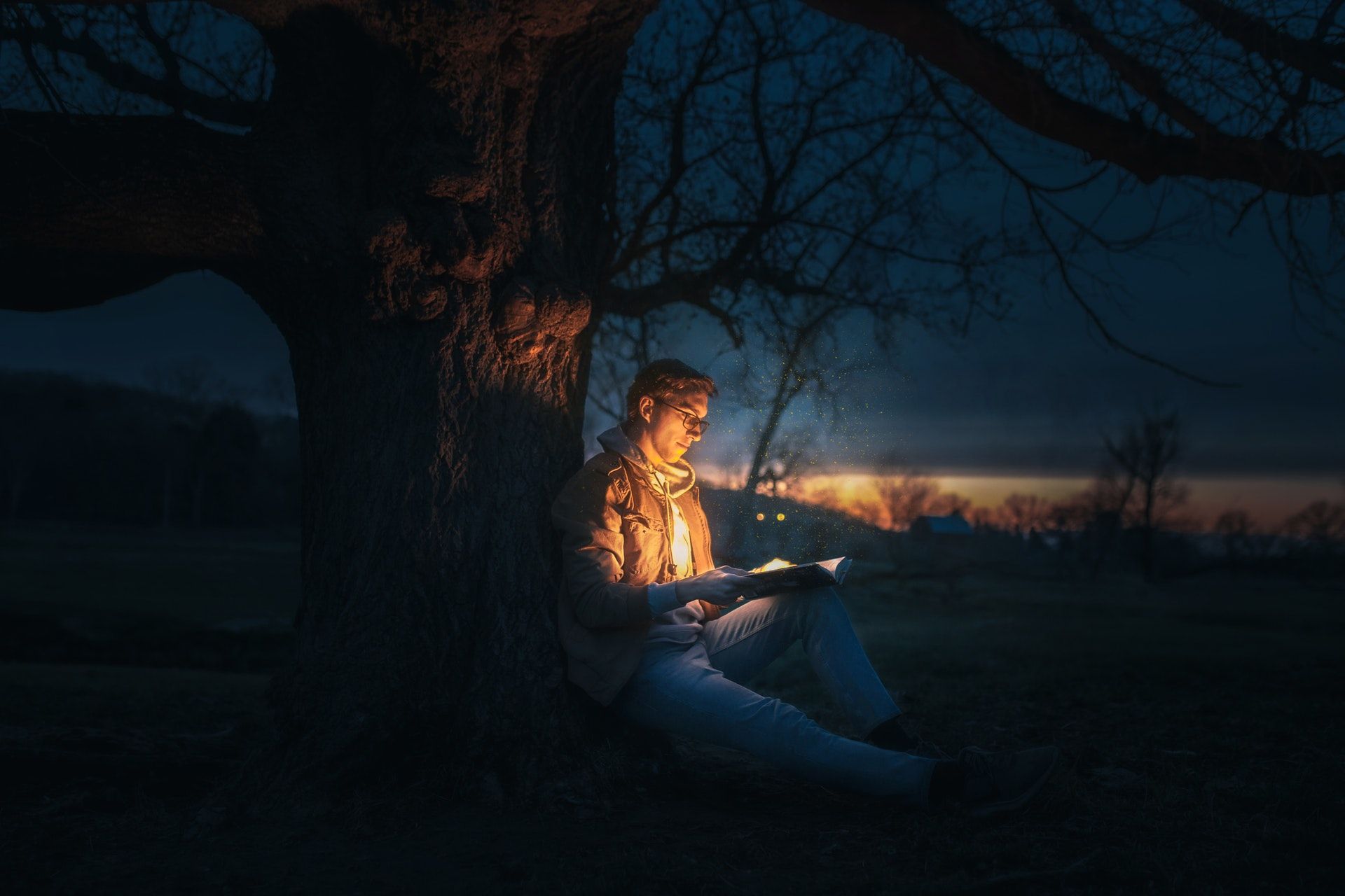 Man reading under a tree at sunset