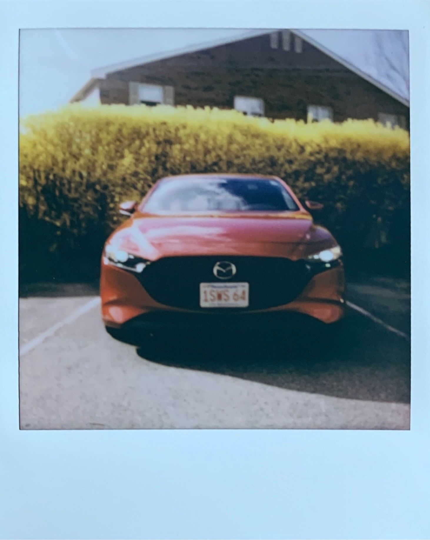 polaroid photo of red car and yellow flowers 