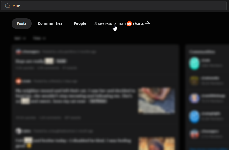 Screenshot from Reddit showing results from one subreddit from the main site search