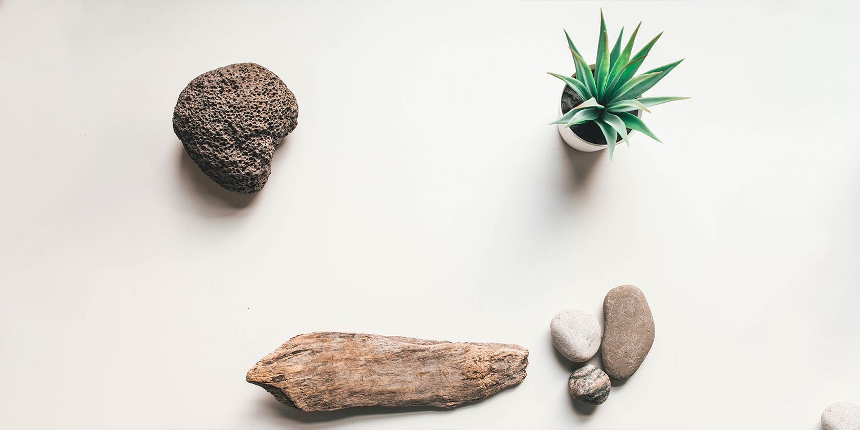 rocks and plants flat lay on a white background