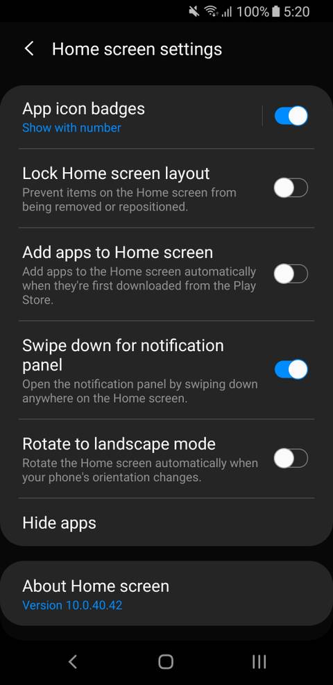 نحوه پنهان کردن برنامهها در گوشی سامسونگ 3 samsung home screen settings.jpg?q=50&fit=crop&w=480&dpr=1 -