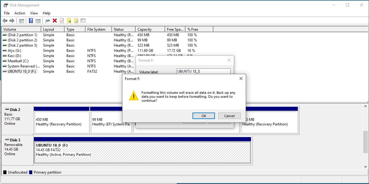 screenshot of disk management displaying the pre-format warning