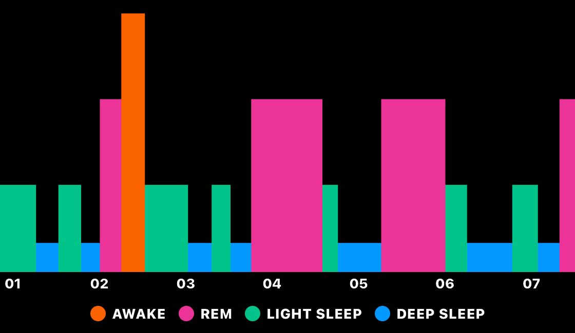 sleep phases