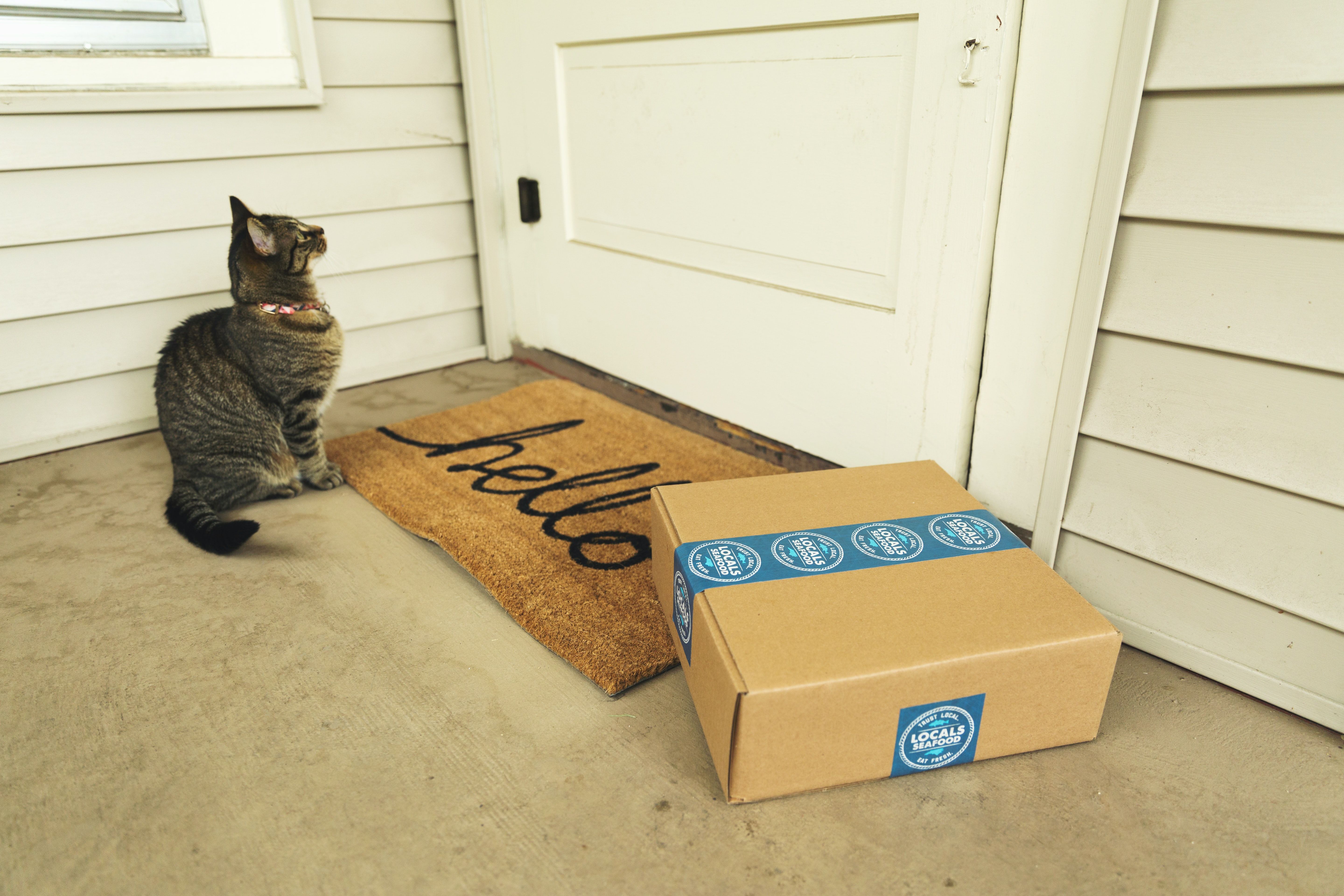 delivery box on doorstep