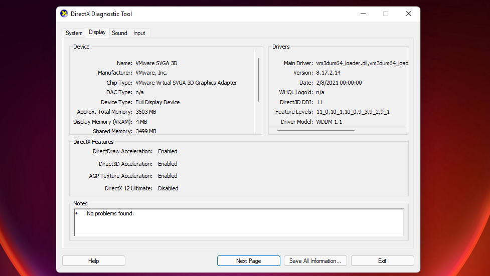 The Display tab in the DirectX Diagnostic Tool