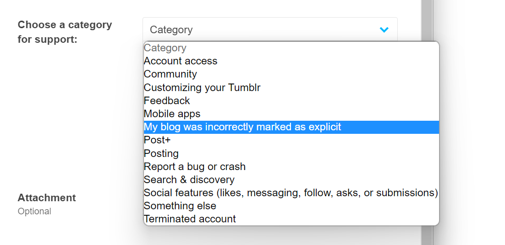 How to bypass Tumblr ban through the Tumblr Support page.
