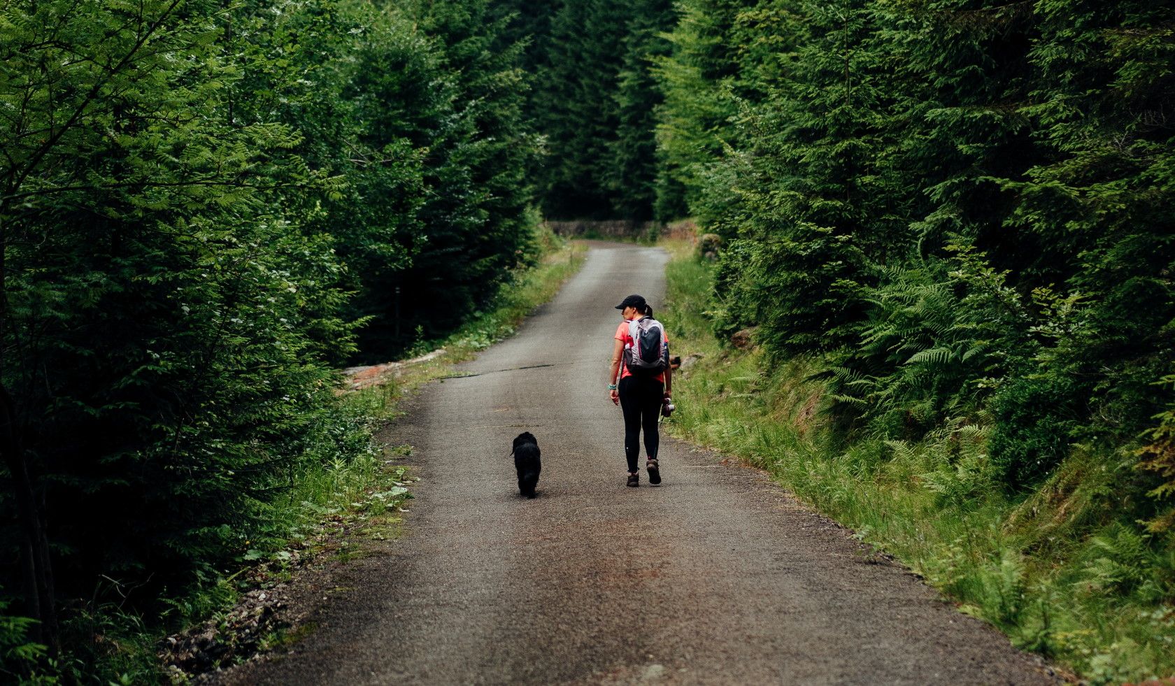 woman walking on road with dog in forest setting