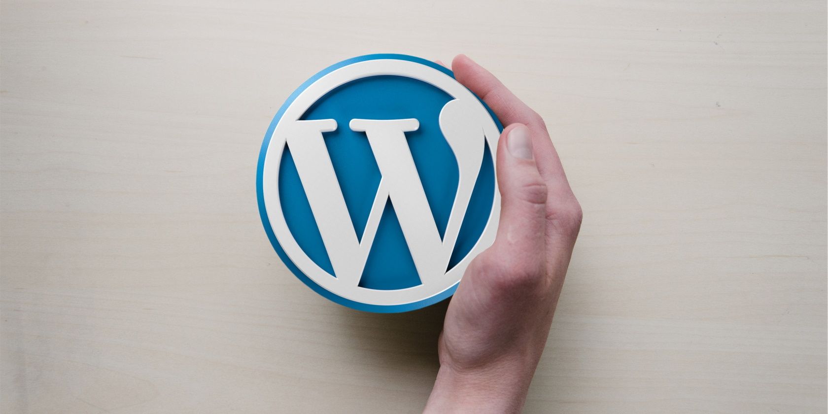 WordPress logo in a hand