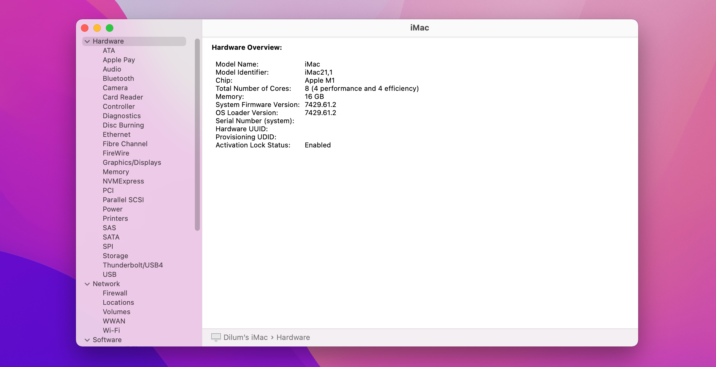 System Information app on Mac.