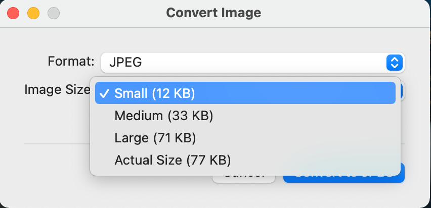 Convert Image window with size options