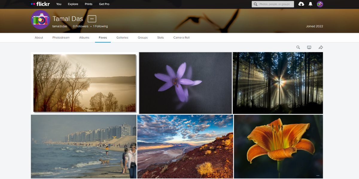 An image for Faves, a feature of Flickr