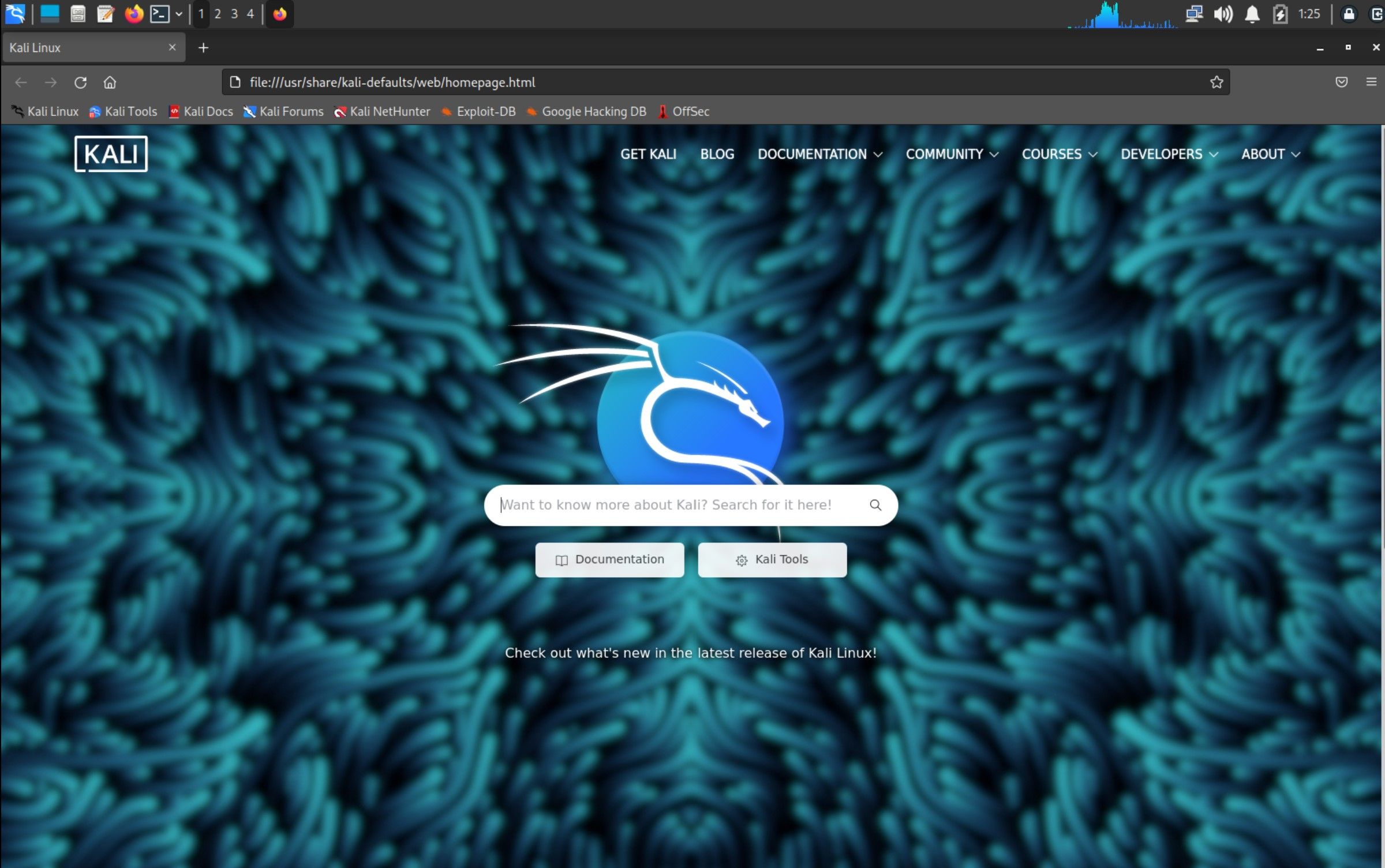 Kali browser interface on Kali desktop