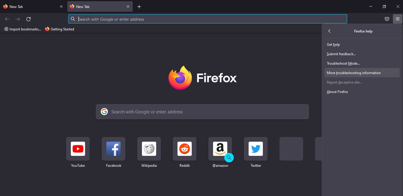 More Troubleshooting Information Option in Firefox Help Menu