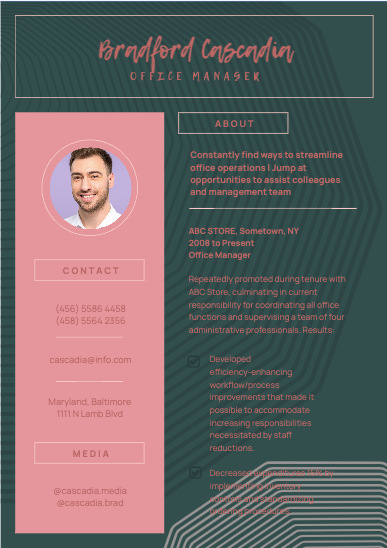 Project Style One Click Colors and Font Editing on VistaCreate Resume Sample 2