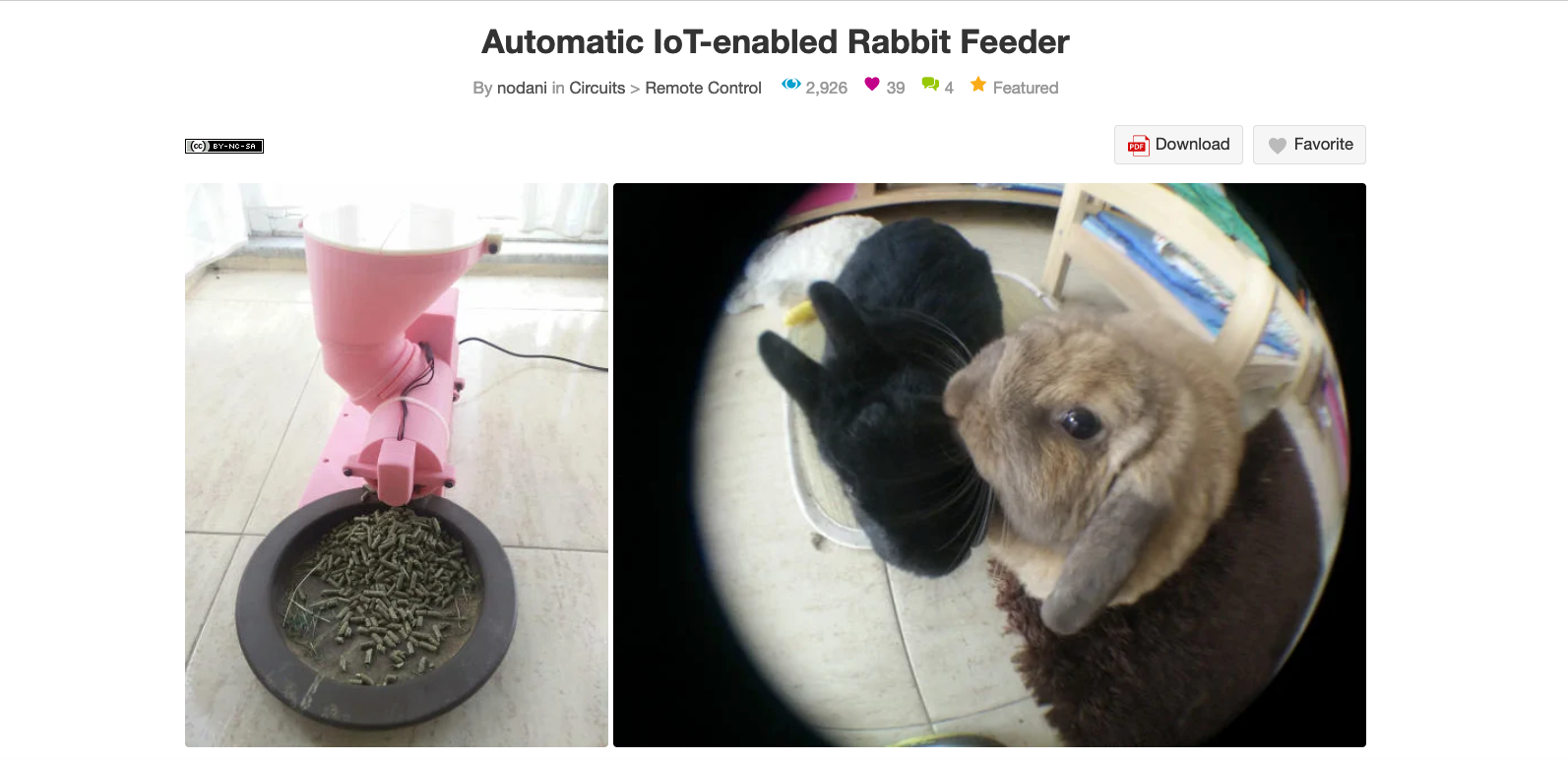 A screenshot showing an image of a pink DIY rabbit feeder next to an image of two rabbits