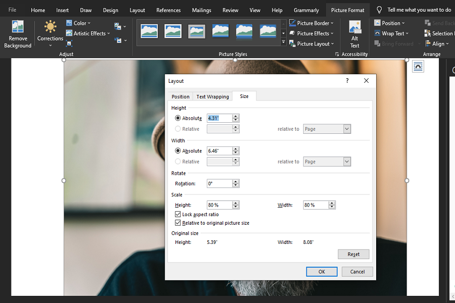 Resizing an Image by Changing Its Height and Width in Microsoft Word Layout Window