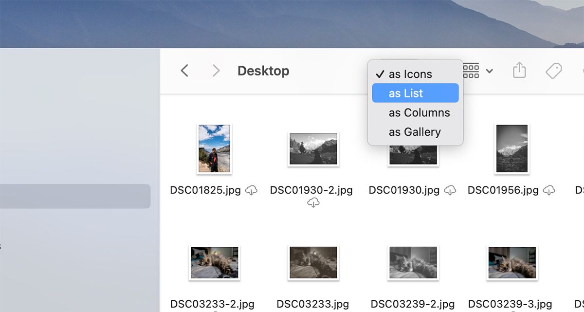 Select Folder View in macOS