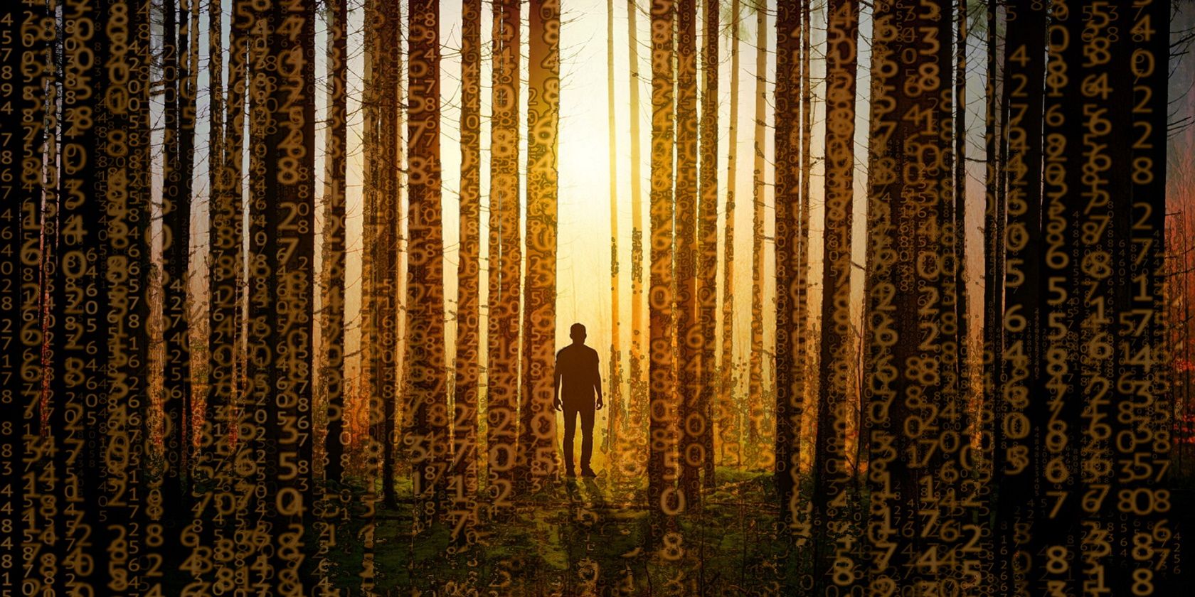 a man standing in a binary jungle