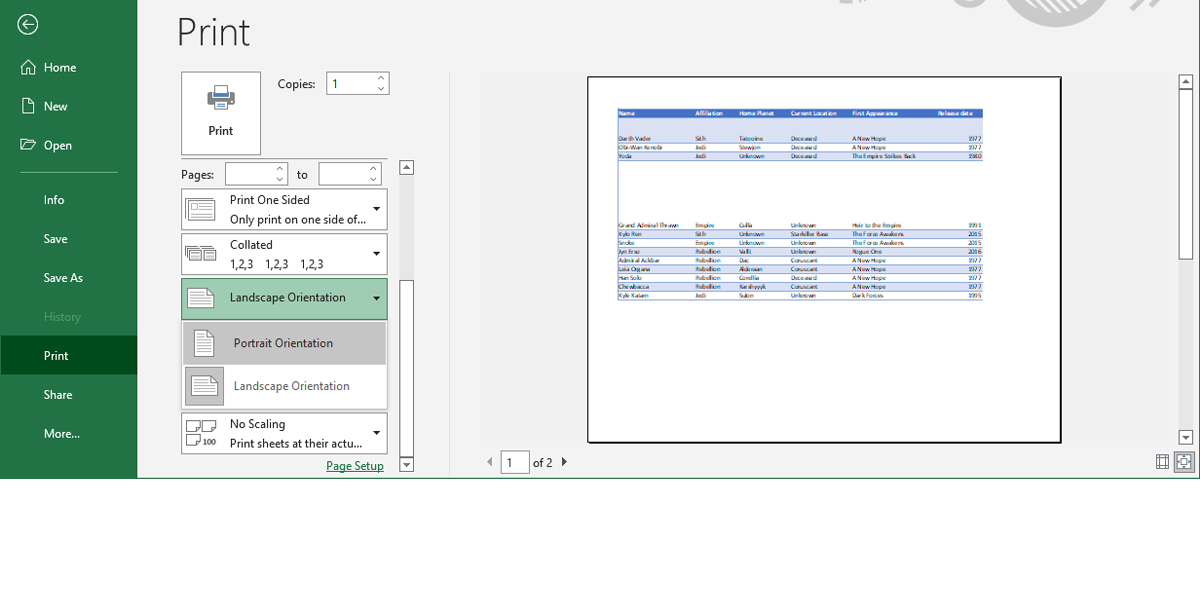 Print menu in Excel.
