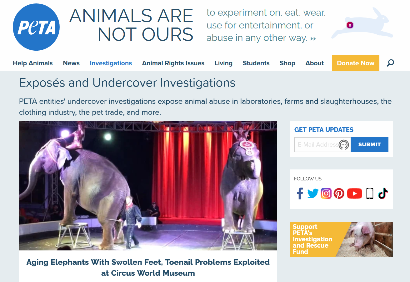 Animal Welfare Investigations on Peta Website