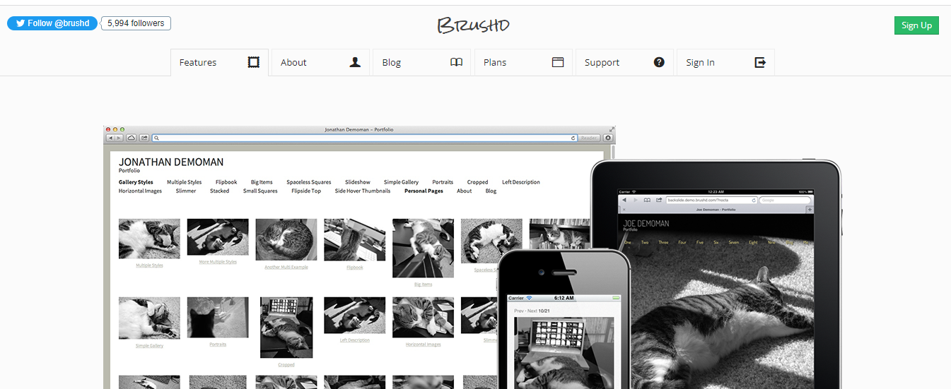 brushd website page