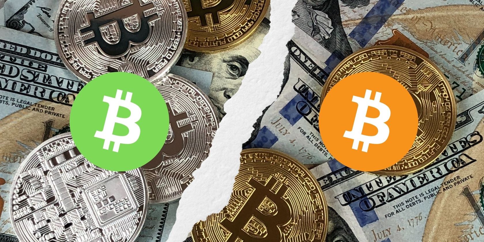bitcoin and bitcoin cash logo in front of coins