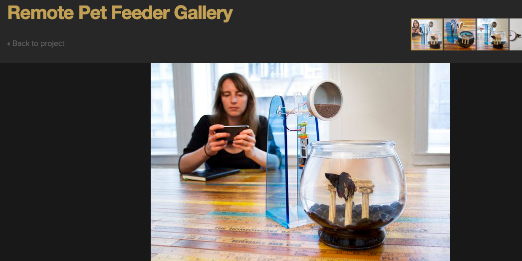 A screenshot showing an image of a woman sitting behind a DIY fish feeder and fish bowl