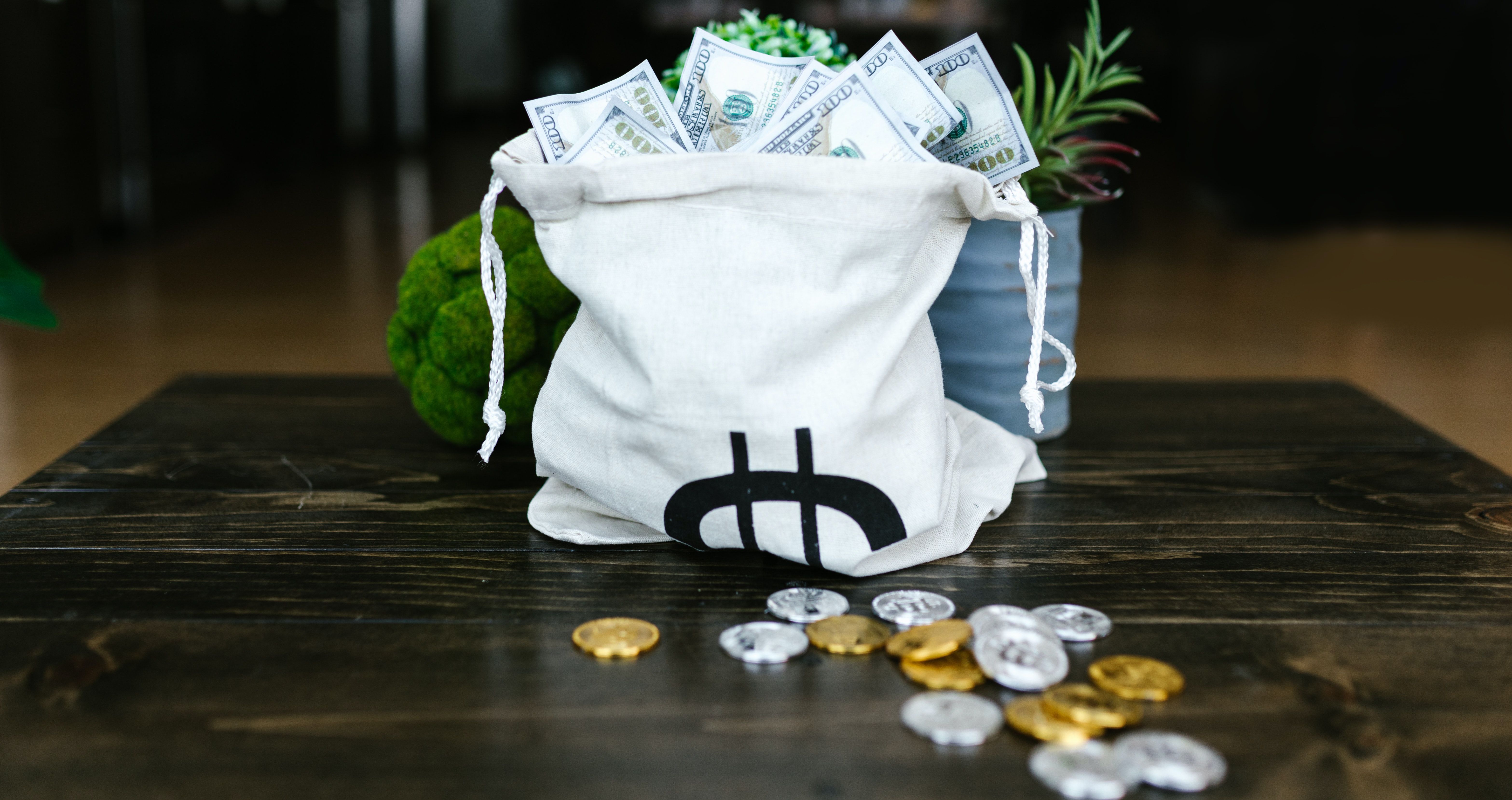 cash in bag next to crypto coins