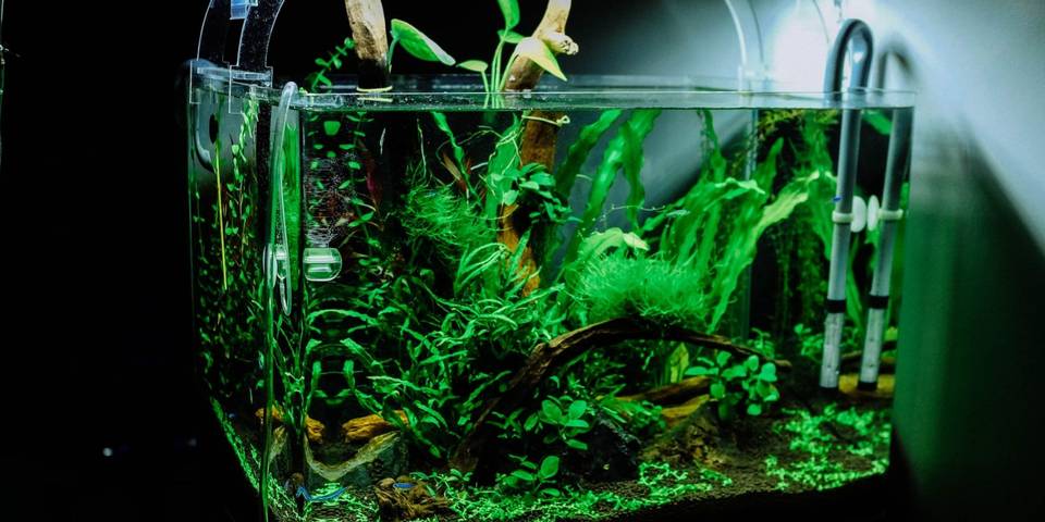 Creating Diy Aquarium Lighting With Arduino - Diy Aquarium Grow Light