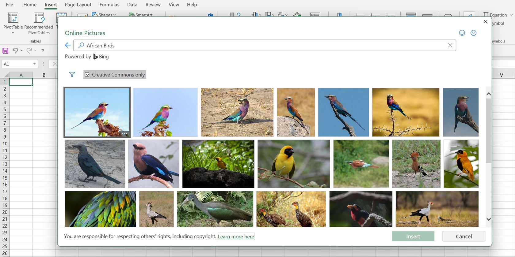 Inserting an image from Bing in Excel.