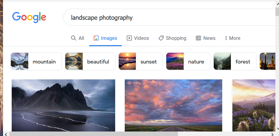 An image search