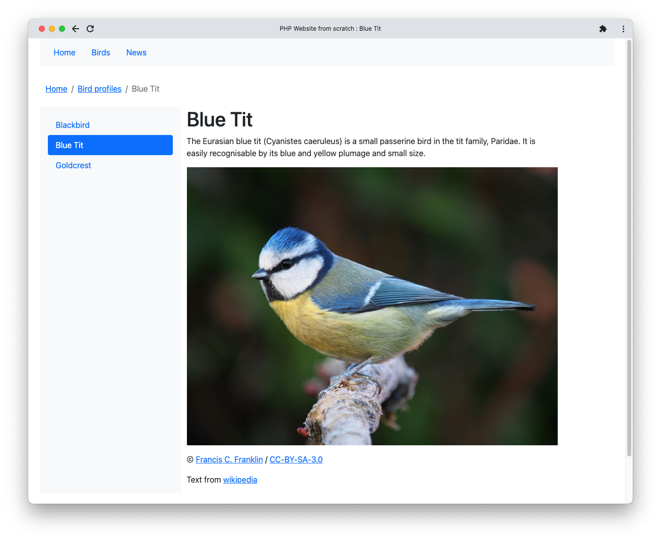A simple website page showing information about a bird with its photo 