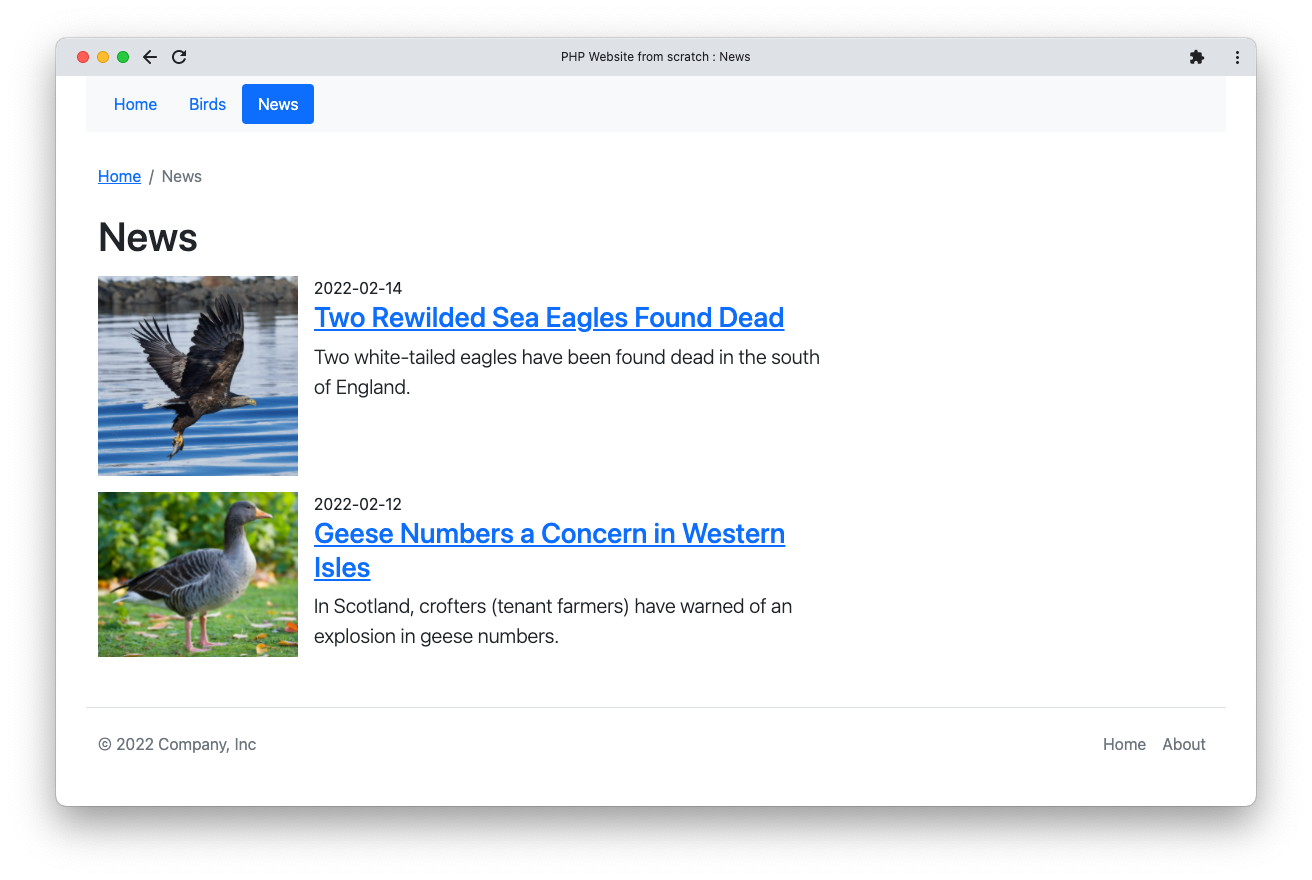 A simple website showing two news stories about birds, with photographs