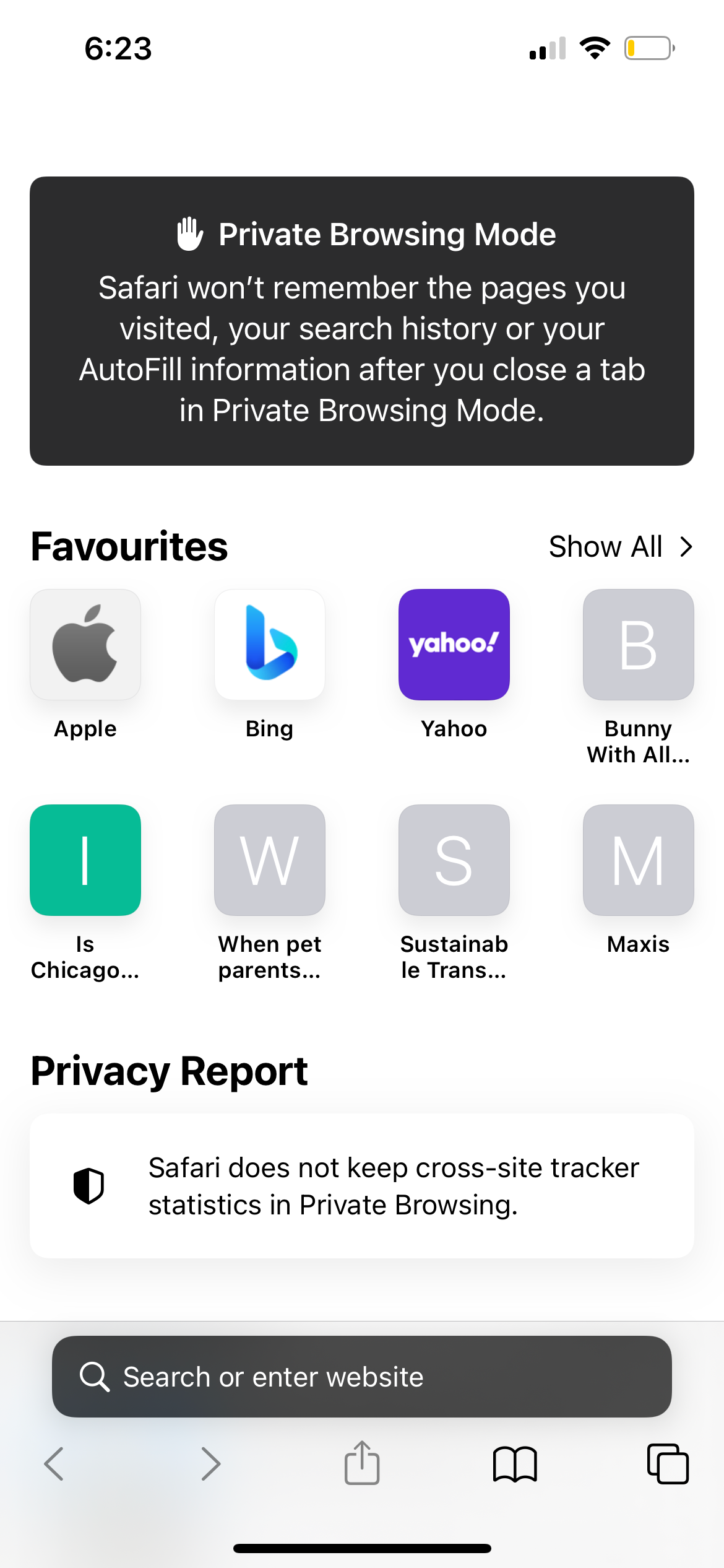 private browsing tab on iphone safari app