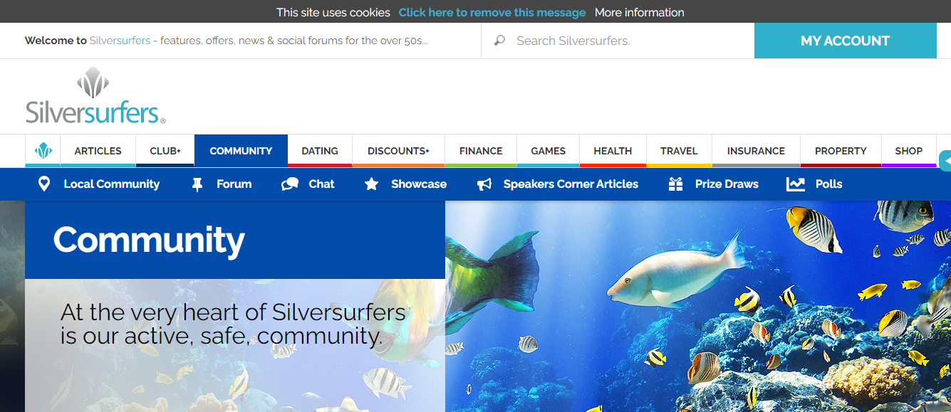 silversurfers website screenshot