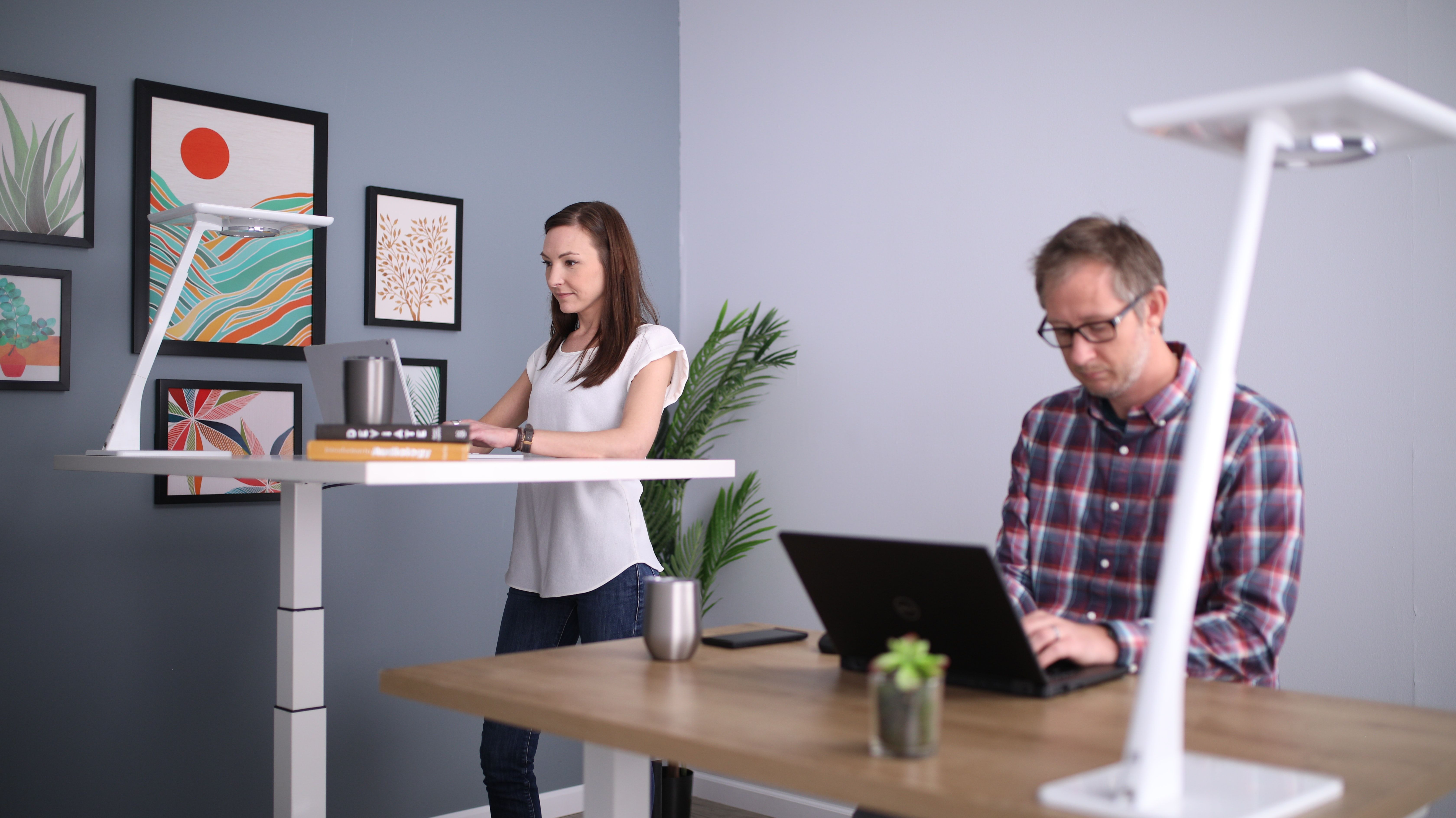 A couple working from home with standing desks.