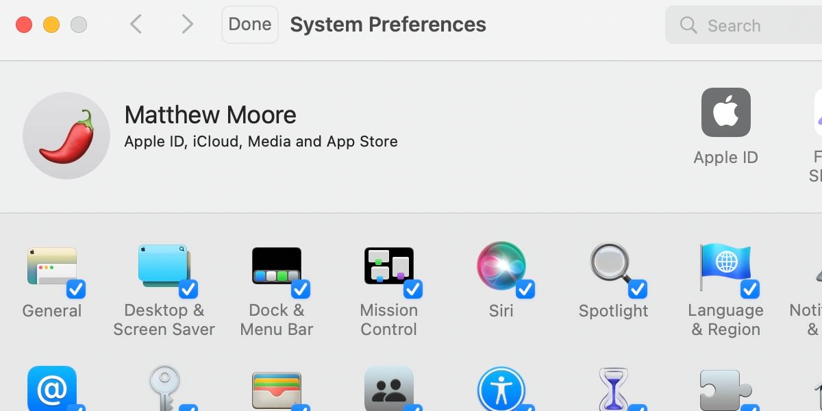System Preferences in customize mode with all items ticked