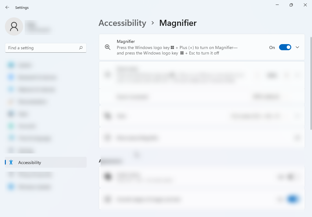 turn on magnifier tool