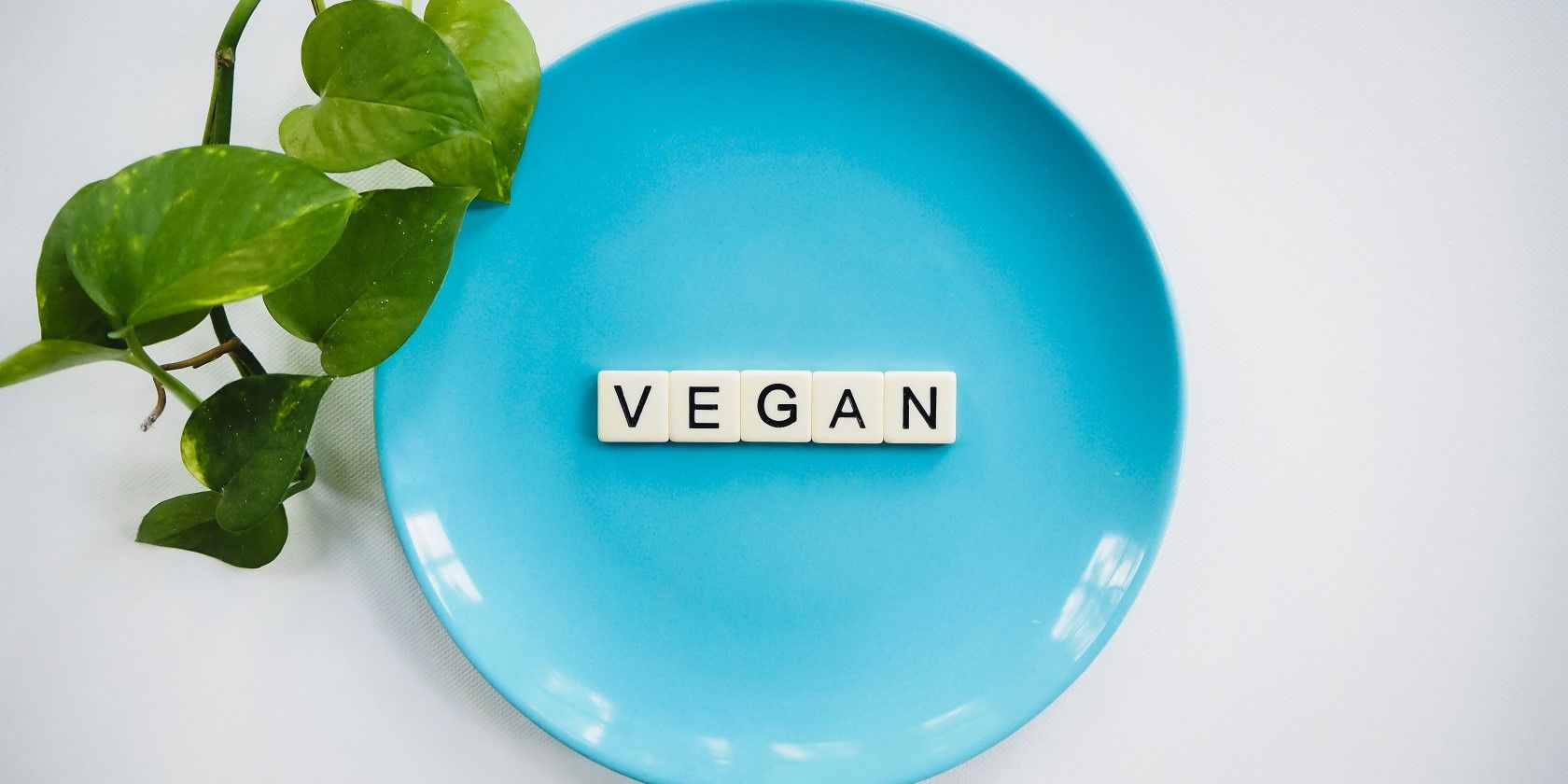 Scrabble tiles on a blue plate that spell vegan