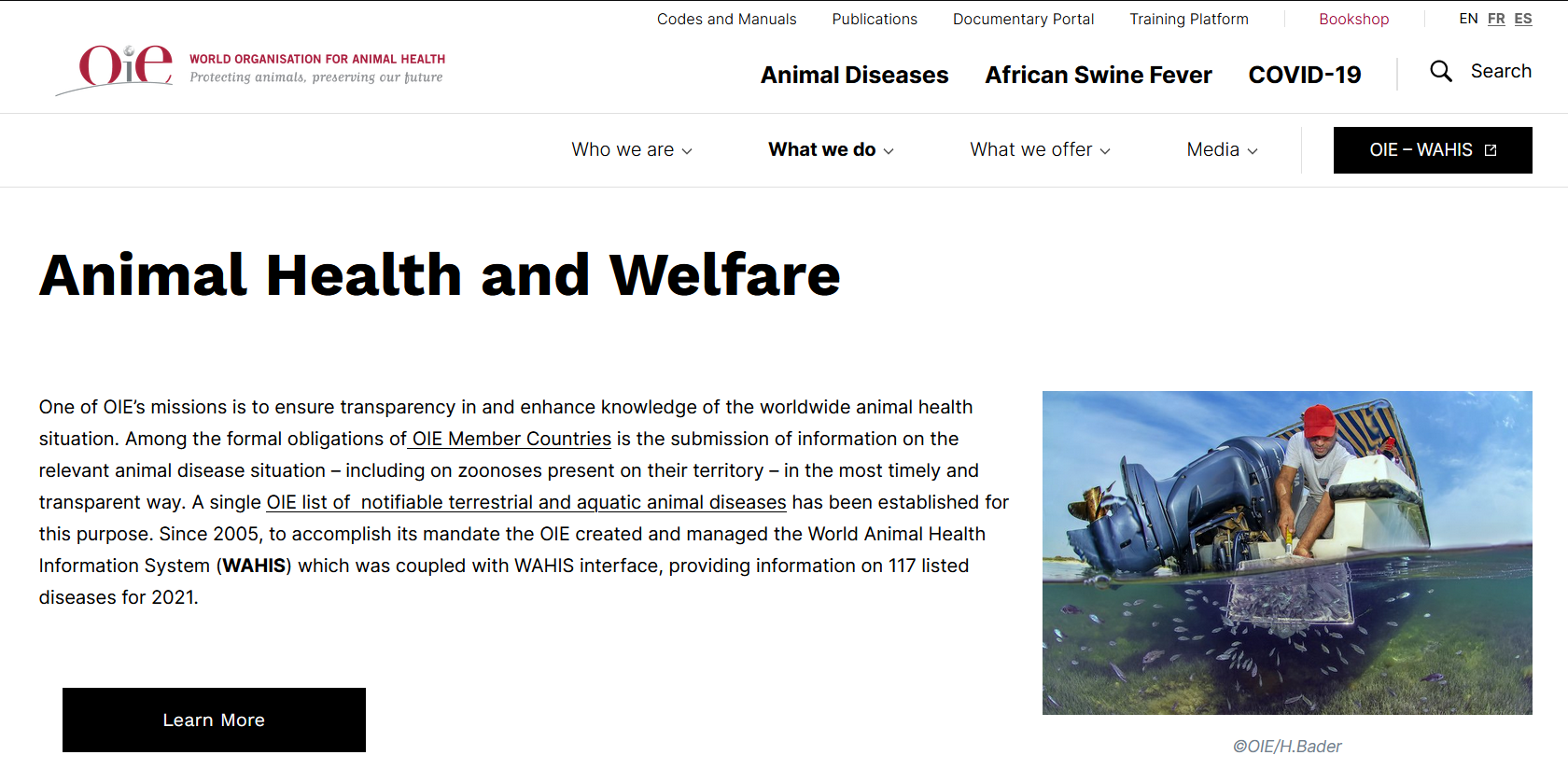 World Organization of Animal Health Website