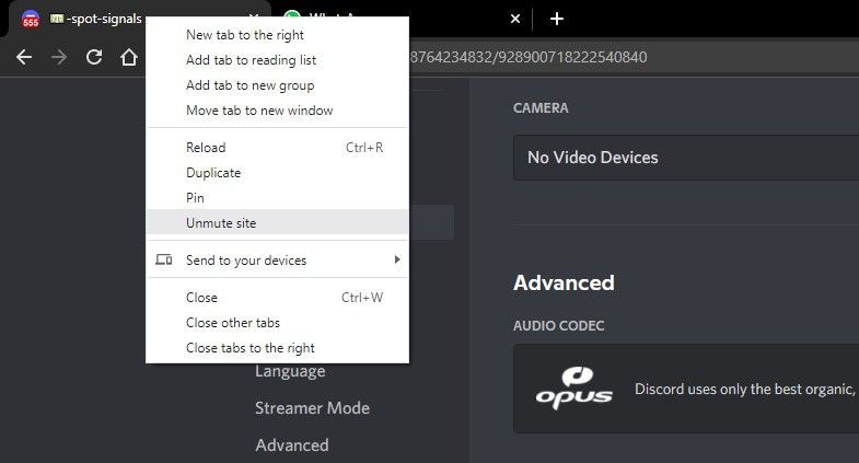 لغو نادیده گرفتن Discord Web Client در تب کروم